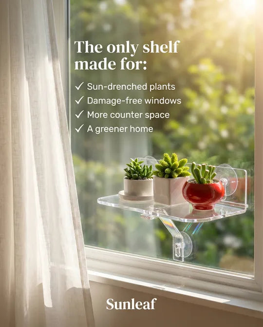 Acrylic Window Plant Shelf — Floating Suction Cup Display for Indoor Plants